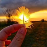 Profile Picture of Robin (@robinbirdbean) on Instagram