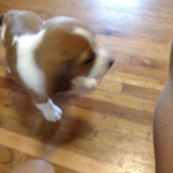 Profile Picture of thebird2783 (@thebird2783) on Tiktok