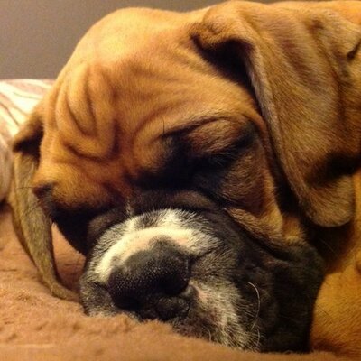 Profile Picture of Steve Burtt (@steve_burtt) on Twitter