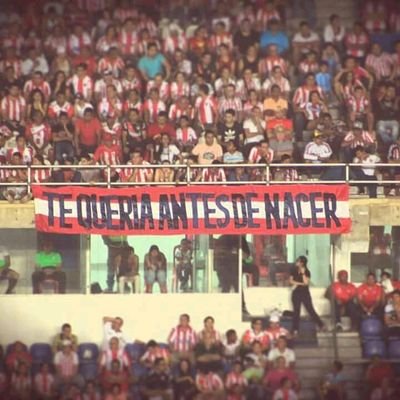 Profile Picture of Kevin Celis (@Kevincelis09) on Twitter