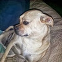 Profile Picture of Andrew Murin (@andrew-murin-2) on Quora