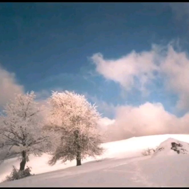 Profile Picture of krainiak (@krainiak) on Tiktok