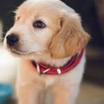 Profile Picture of Heinlen Jeremy Lynn (@Heinlen-Jeremy-Lynn) on Facebook