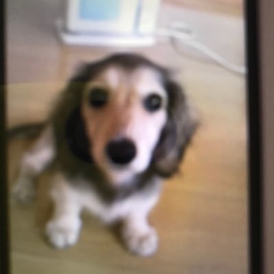 Profile Picture of ゆこ (@yukonagata10) on Twitter