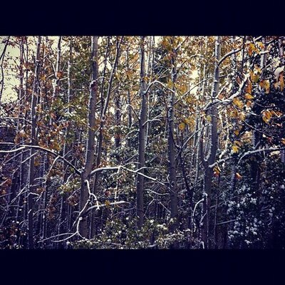 Odell Cliff - Twitter Profile Picture of Odell Cliff (@OdellCliff381) on Twitter