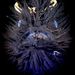 Profile Picture of Carla Renfrow (@renfrow1313) on Pinterest