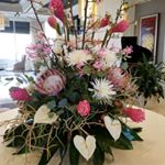 Profile Picture of Frances Shellman (@shellfrances) on Instagram