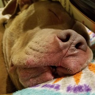 Profile Picture of Nick Whitbeck (@Nick-Whitbeck) on Facebook