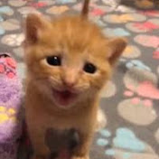 Profile Picture of Naomi Hook (@naomihook1079) on Youtube