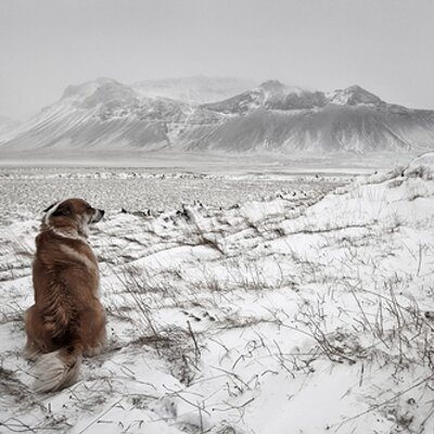 Profile Picture of Tommy Ransom (@LuckydogBBQ) on Twitter