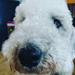 Profile Picture of robin fleck (@fleckrobinphoto) on Instagram