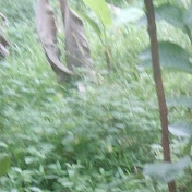 Profile Picture of Hung Nguyen (@hungnguyen-pw2kl) on Youtube