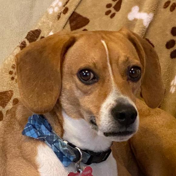 Profile Picture of Curtis Montgomery (@curtismontgo245) on Poshmark