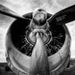 Profile Picture of Rick McNabb (@rickmcnabb60) on Pinterest
