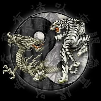 Profile Picture of David Cunnington (@elitewarriors1) on Twitter