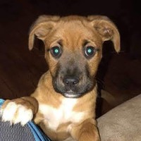 Profile Picture of Patrick Holguin (@patrick-holguin-5) on Quora