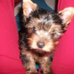 Profile Picture of David Pecka (@david.pecka) on Facebook