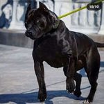 Profile Picture of Sherrie gordinerr (@gordinerr) on Instagram