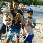 Profile Picture of Christopher Choy (@christopherchoy19) on Instagram