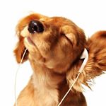 Profile Picture of Victor Botero (@botero_victory131) on Instagram