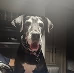 Profile Picture of Garrett Ratkiewicz (@garrett.ratkiewicz) on Facebook