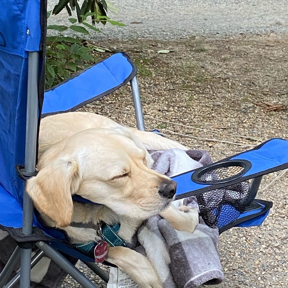 Profile Picture of Diahann Bifaro (@dbif63) on Poshmark