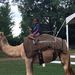 Profile Picture of Laurie McWilliams (@lfmcwil) on Pinterest