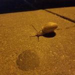 Profile Picture of Gary cory spoon (@gary_spoon123) on Instagram