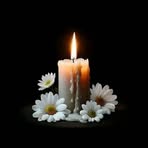 Profile Picture of Kristian Dump (@Kristian-Dump) on Facebook