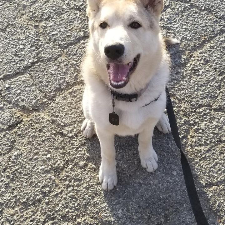 Profile Picture of Alex (@alexsig3) on Tiktok