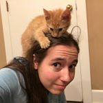 Profile Picture of Sophia Pruitt (@sophias.shelter) on Instagram