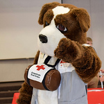 Profile Picture of Fred Cross (@red cross southern arizona) on Flickr