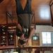 Profile Picture of Kevin Abeyta (@fiddling_abeyta) on Pinterest
