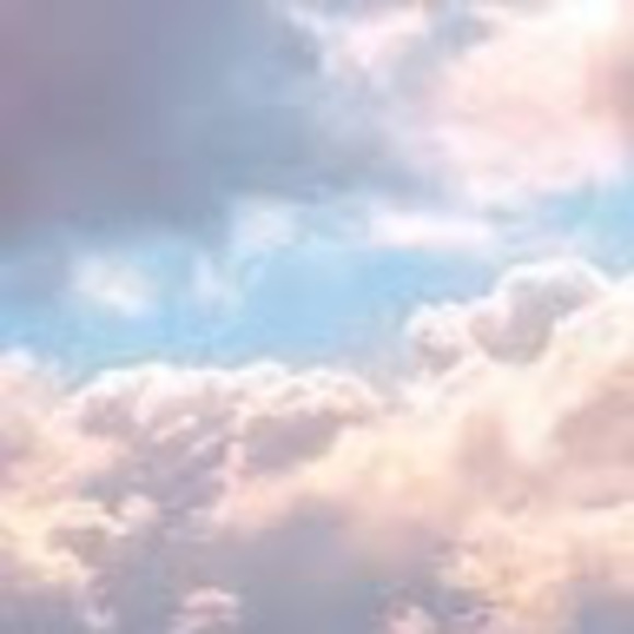 Profile Picture of Jenna Vandenbosch (@jennavandenbosc) on Poshmark