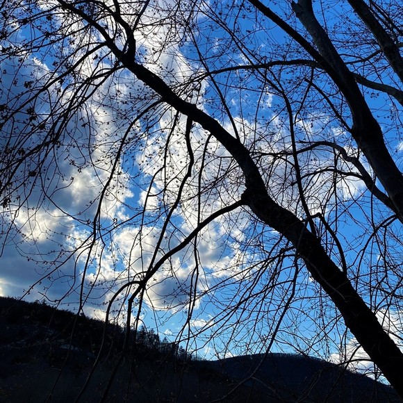 Profile Picture of Kassandra Adams (@row4187) on Poshmark