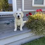 Brett Petersen - Facebook Profile Picture of Brett Petersen (@brett.petersen.58555) on Facebook