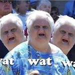 Profile Picture of ich binn dumm ignoriert mich (@thomastrainmeme) on Instagram