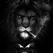 Profile Picture of JACE JENKINS (@jenkijac000) on Pinterest