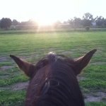 Bryan Bastida - Instagram Profile Picture of Bryan Bastida (@bryan_06bas) on Instagram