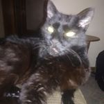 Profile Picture of James Cleavenger (@james.cleavenger.73550) on Instagram