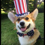 Candy Thomas - Instagram Profile Picture of Candy Thomas (@candy_thomas_) on Instagram