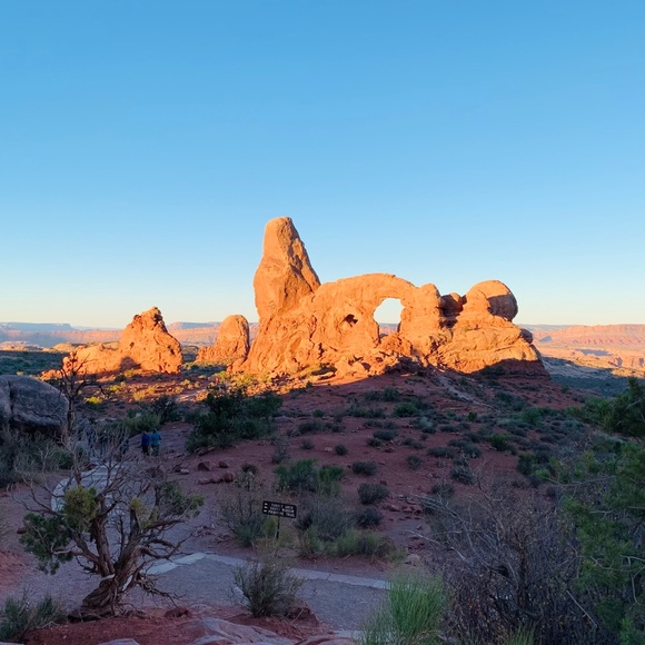 Profile Picture of Lily Luo (@lilylluo) on Poshmark