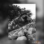 Profile Picture of Mariel Tejada✨❤️ (@mariel_tejada03) on Instagram