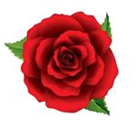 Profile Picture of Alex Sobh (@sobh_alex) on Instagram