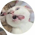 Profile Picture of 🔥Gabriiel🔥 (@gabrielperaltaaaa) on Instagram