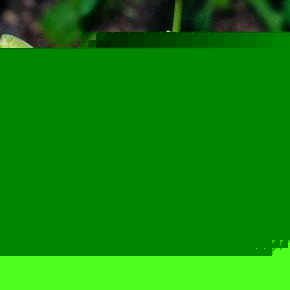 Nancy Cato - Myspace Profile Picture of Nancy Cato (@162219254) on Myspace