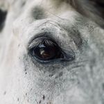 Profile Picture of Elizabeth Hazzard Rego (@elizabeth.miles.rego) on Instagram