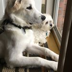 Profile Picture of Gail Genzmann (@ggenz22) on Instagram