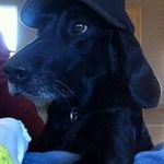 Profile Picture of Jeff Ensey (@jeffensey) on Instagram