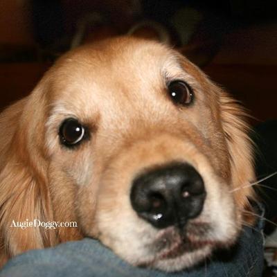 Profile Picture of Rudy Cook (@RudyCookHur) on Twitter